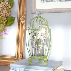 a birdcage with flowers in it sitting on top of a stack of books