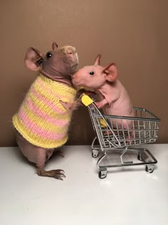 two small mice in sweaters standing next to each other near a shopping cart with the rat in it