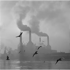 The Big Smoke (1971) - Silver Gelatin Fibre Print (Photo by Central Press/Getty Images) 2nd February 1971: Seagulls drift above the waters of the Thames while in the background, the billowing chimneys of Battersea Power Station fill the sky. Additional Information: Unframed Paper Size: 30x30'' Printed 2020 Silver Gelatin Fibre Print 10 x 8'' 10 x 10'' 12 x 12'' 16 x 16'' 20 x 20'' 30 x 30''  Fashion, Retro, Vintage, Car, High Society, Black and White, B and W, Photography, Racing, Race, Car Poly Animals, Vertical City, London Icons, Battersea Power Station, London History, Industrial Photography, London Town, Old London, Industrial Revolution