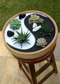 an outdoor garden with rocks and succulents in a wooden planter on the ground