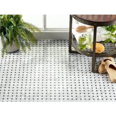 a pair of slippers sitting on top of a tiled floor next to a potted plant