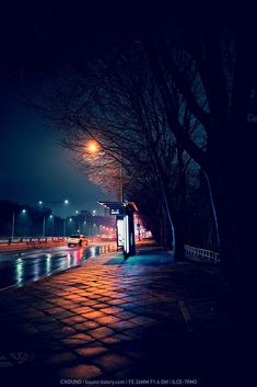 an empty street at night with the lights on and trees in the foreground, reflecting off the water