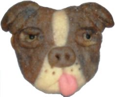 a close up of a dog's face with its tongue sticking out from it