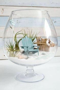 an air plant in a glass bowl filled with sand