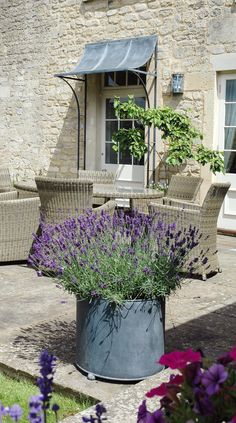 an outdoor patio with wicker furniture and purple flowers in the foreground, next to a stone building