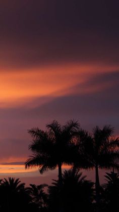 the sun is setting behind palm trees in front of an orange and blue sky with clouds