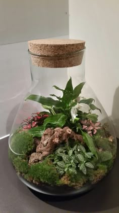 a glass vase filled with plants on top of a table