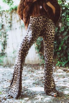 “Channel your inner rockstar with these fierce leopard print bell bottoms! 🐆✨ Perfect for adding a bold, retro edge to any outfit, these statement pants are a must-have for your wild and free wardrobe. Pair them with your favorite band tee or crop top for an effortlessly cool look. Available now at Pretty Attitude! #LeopardPrint #BellBottoms #RockStyle #RetroVibes #PrettyAttitudeFashion” Rocker Outfit, Statement Pants, Edgy Looks, Leopards, Wild And Free, Rock Style, Band Tees, Bell Bottoms