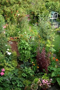 a garden filled with lots of different types of flowers