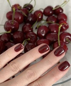 Red Gel Nails, Maroon Nails, Red Acrylic Nails, Cherry Wine, Casual Nails, Red Nail Designs