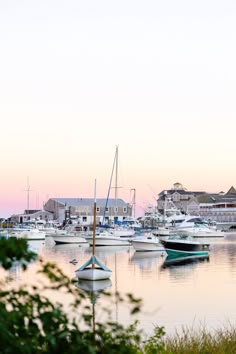 several boats are docked in the water at sunset