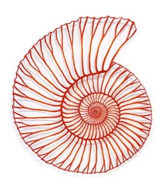 a red wire sculpture on a white background with the shape of a snail's shell