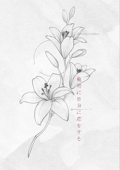 a drawing of some flowers with chinese writing on the bottom and bottom half of it