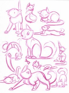 some drawings of cats and dogs in different poses