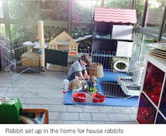 an image of a child playing with animals in a cage at the petting zoo