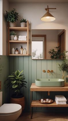 a bathroom with green walls and plants on the shelf next to the sink, toilet and mirror