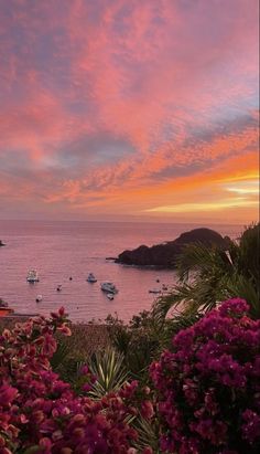 the sun is setting over some boats in the water and flowers are blooming on the shore