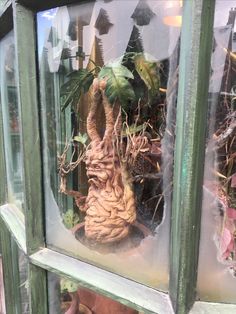 there is a fake palm tree in the glass case on the window sill, with other plants behind it