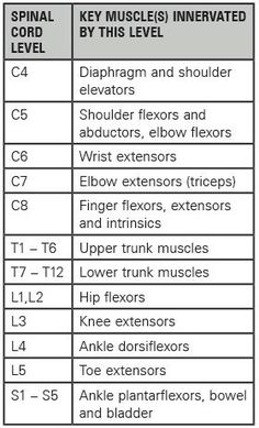 Nbcot Exam, Physical Therapy School, Physical Therapist Assistant, Physical Therapy Assistant, Occupational Therapy Assistant, Medical School Studying, Nursing School Notes, Acute Care, Human Anatomy And Physiology