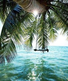 the sun shines through some palm trees over the blue water in this polaroid photo