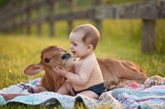 a baby sitting on top of a blanket next to a cow