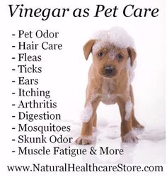 there is a poster with the words vinegar as pet care