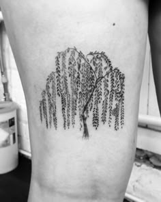 a black and white photo of a tree tattoo