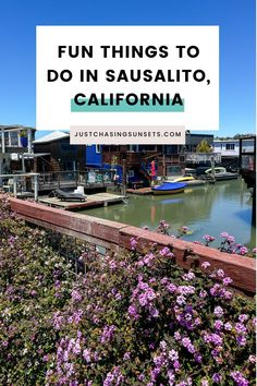 purple flowers in the foreground with text overlay reading fun things to do in sausalito, california