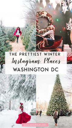 the prettiest winter instagram places in washington dc with text overlay that reads, the prettiest winter instagram