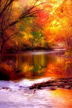 a river surrounded by trees in the fall