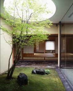 a room with a tree, rocks and grass in the foreground is an open - air area