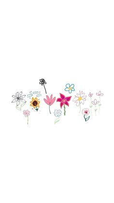 an image of flowers on a white background