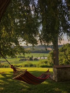 a hammock hanging from a tree in the shade