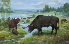 an oil painting of two bulls drinking water from a stream in a grassy field with other animals