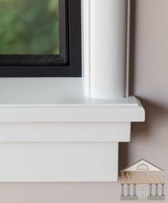 a black and white bird sitting on the ledge of a window