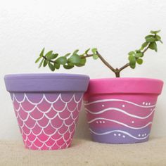 two pots with plants in them sitting on a table