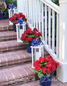 red, white and blue flowers are lined up on the steps