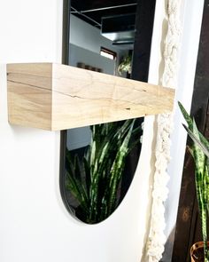 there is a mirror and some plants in front of the door handle on this houseplant