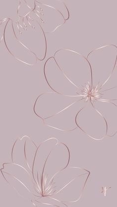 an image of some flowers that are drawn in pink and white colors on a light purple background