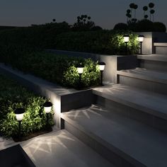 some steps lit up with lights and plants