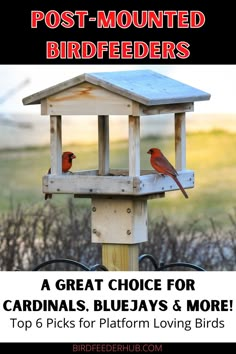 two red birds sitting on top of a wooden bird house with text overlay reading post - mounted bird feeders a great choice for cardinals, bluejays & more