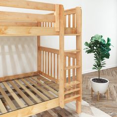 a wooden bunk bed sitting next to a potted plant on top of a hard wood floor