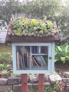 a book shelf with books and plants on top in front of a garden wall filled with succulents