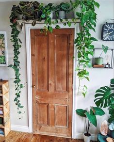 a wooden door surrounded by greenery and potted plants in a room with white walls