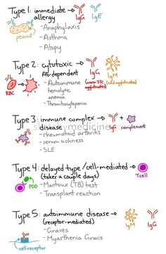 a handwritten diagram with different types of words and numbers on the bottom right corner