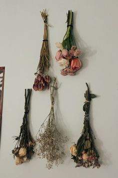 several dried flowers are arranged on the wall