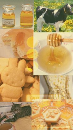 a collage of honey images with cats, dogs, and other things to eat