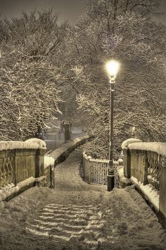 a street light is lit up on a snowy night in the park with snow covered trees