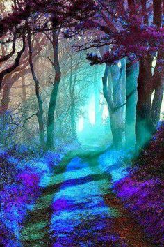 a path in the middle of a forest with bright blue light coming from behind it