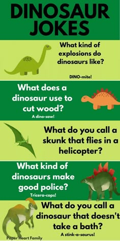 four different types of dinosaurs and their names